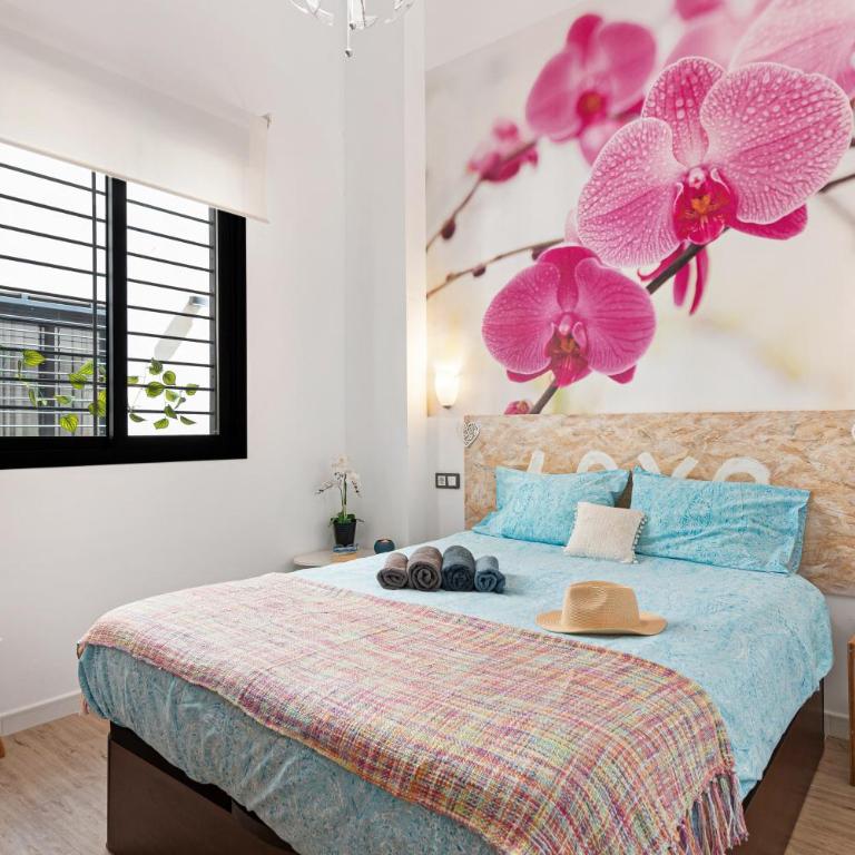 Suite Jinetes - Apartamento Superior con vistas a la ciudad - 11