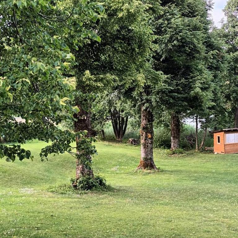 Appartement Kärntner Seenland - Apartment mit 1 Schlafzimmer und Gartenblick - 12