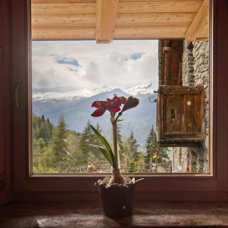 Maison Peroulaz Charvensod - Appartamento Deluxe con 2 Camere da Letto e Vista Giardino - 4