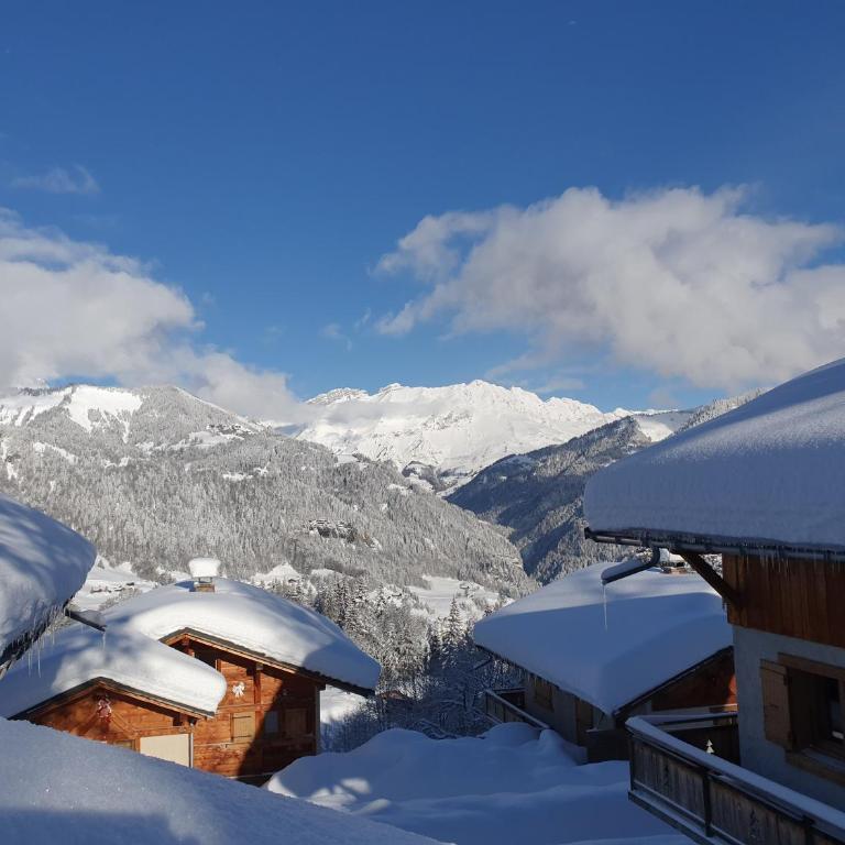 Le Grépon, Piscine et Aire de jeux - Chalet - 30