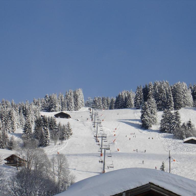Le Grépon, Piscine et Aire de jeux - Chalet - 33
