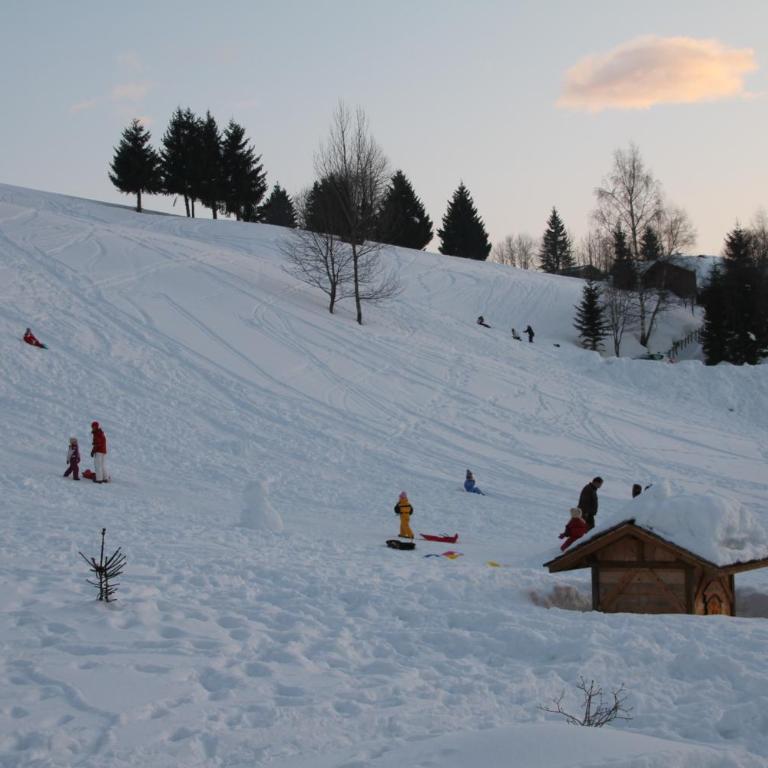 Le Grépon, Piscine et Aire de jeux - Chalet - 34