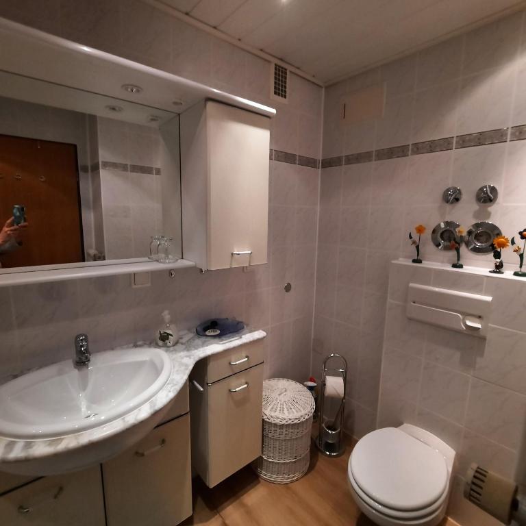 Ferienwohnung Hörnleblick - Apartamento Superior de 1 dormitorio con balcón - 14