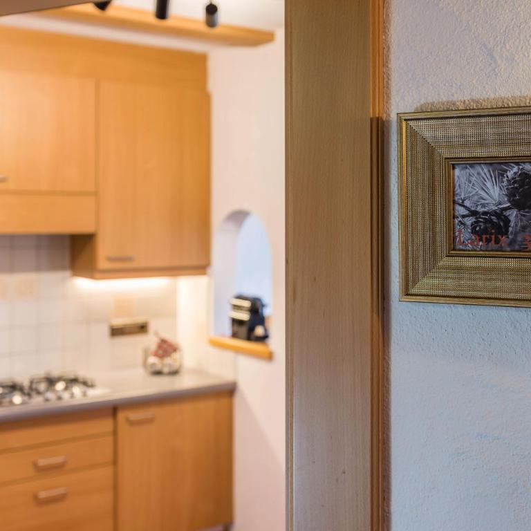Häuslerhof App Larix - Appartamento con 1 Camera da Letto e Vista Giardino - 20