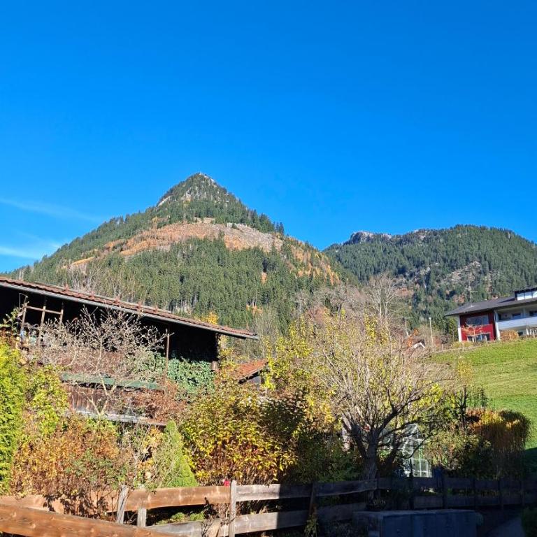 Ferienwohnung Hörnleblick - Apartamento Superior de 1 dormitorio con balcón - 18