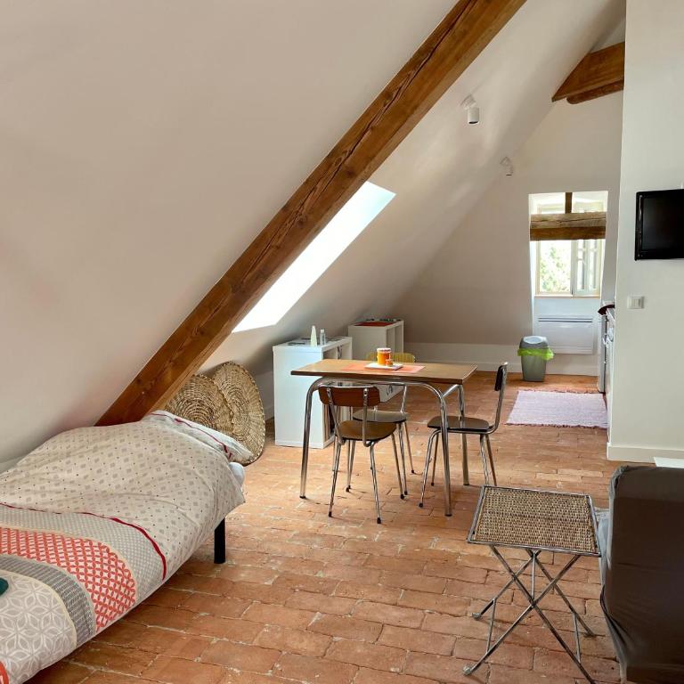 Studio Hyper-Centre Villa Isabelle - Estudio con sofá cama - 6
