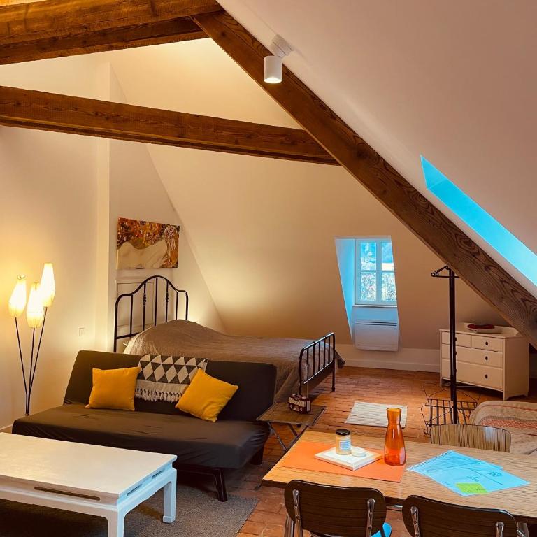 Studio Hyper-Centre Villa Isabelle - Estudio con sofá cama - 11