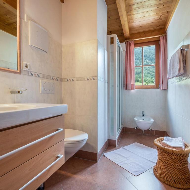 Mitterbruggehof Apt Silberdistel - Appartamento Superior con 1 Camera da Letto e Balcone - 8