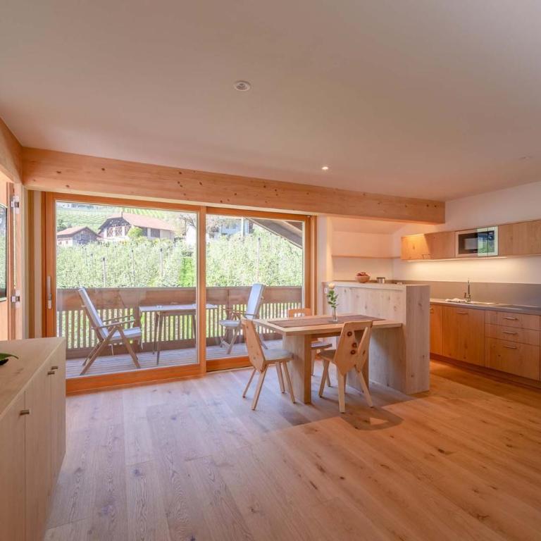 Moosbichlerhof - Appartamento Superior con 1 Camera da Letto e Balcone - 10