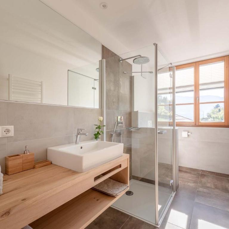 Moosbichlerhof - Appartamento Superior con 1 Camera da Letto e Balcone - 12