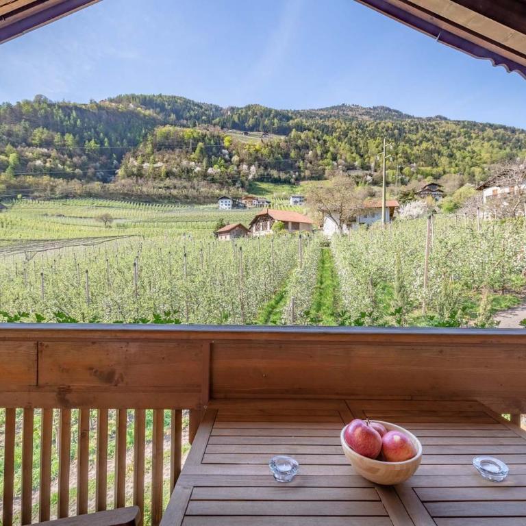 Moosbichlerhof - Appartamento Superior con 1 Camera da Letto e Balcone - 3
