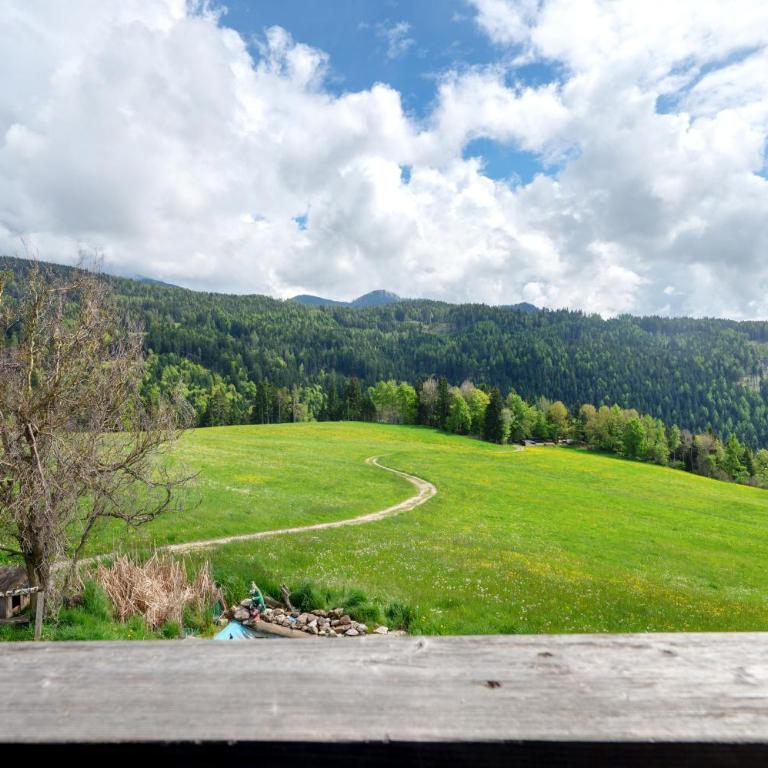 Huanzhof Ferienwohnung Lerch - Superior Apartment mit 1 Schlafzimmer und Balkon - 20