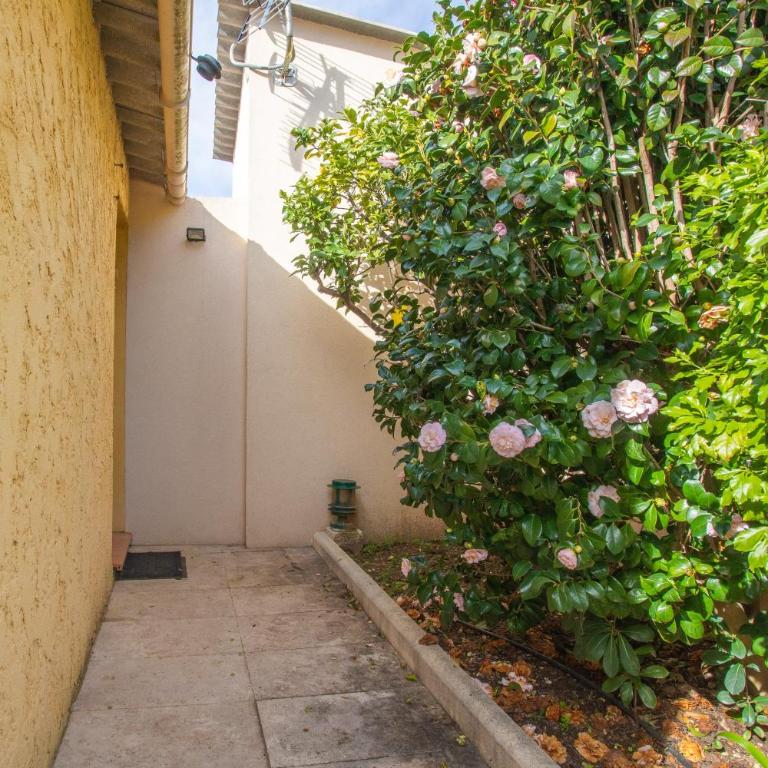 Villa les Mimosas - Maison 1 Chambre - 25