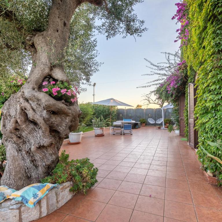 Tenuta del Normanno - Casa con 3 Camere da Letto - 30