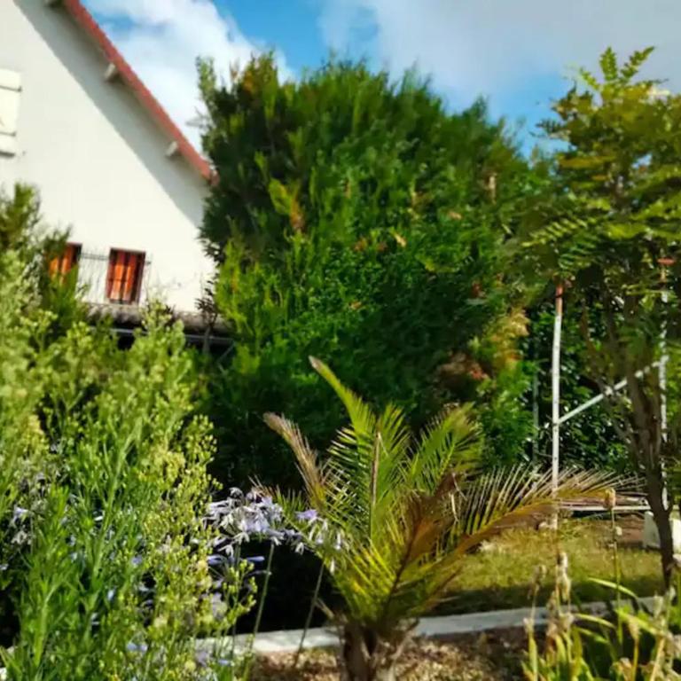 Chez Gaston - Two-Bedroom Deluxe Apartment with Garden View - 34