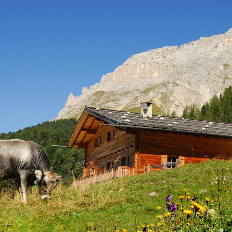 Thaleralm - Three-Bedroom House - 1