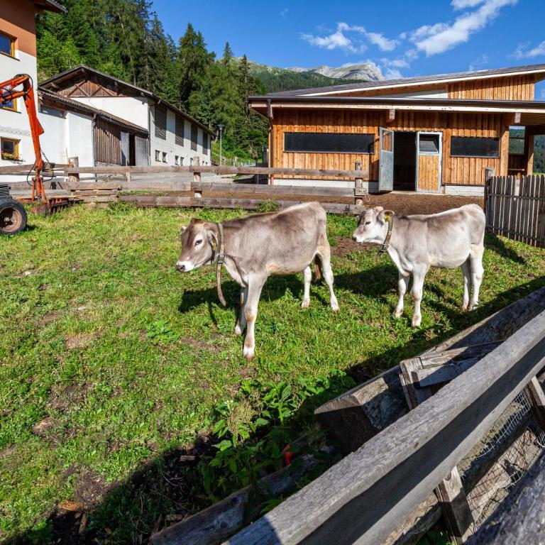 Mühlanderhof Apt Endkopf - Superior Apartment mit 1 Schlafzimmer und Balkon - 22