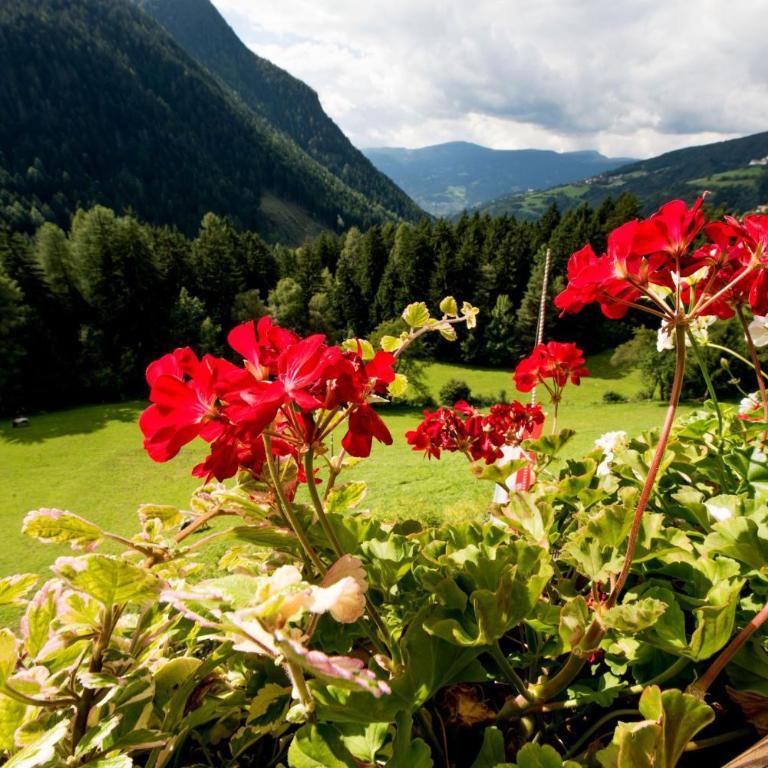 App Ringelblume Biohof Unterspisser - Two-Bedroom Deluxe Apartment with Garden View - 25