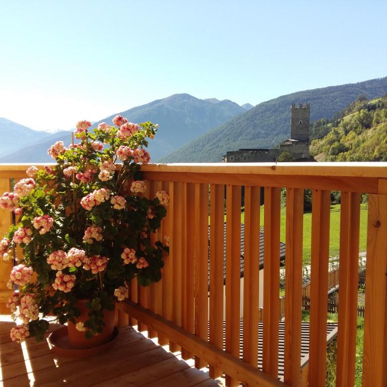 Ferienwohnungen Zwick Maroles - Superior One-Bedroom Apartment with Balcony - 23