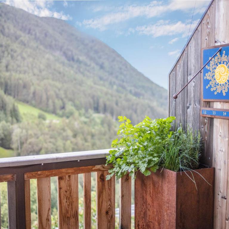 Sonnleiten der kleinen Bären 8 - Appartamento Deluxe con 2 Camere da Letto e Vista Giardino - 9