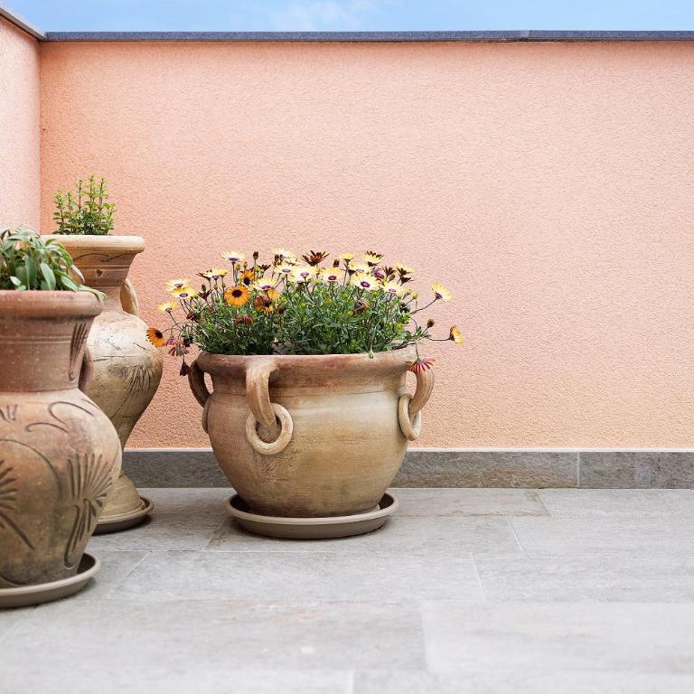 Antichi Ricordi - Le Giare - Appartamento Superior con 1 Camera da Letto e Balcone - 7