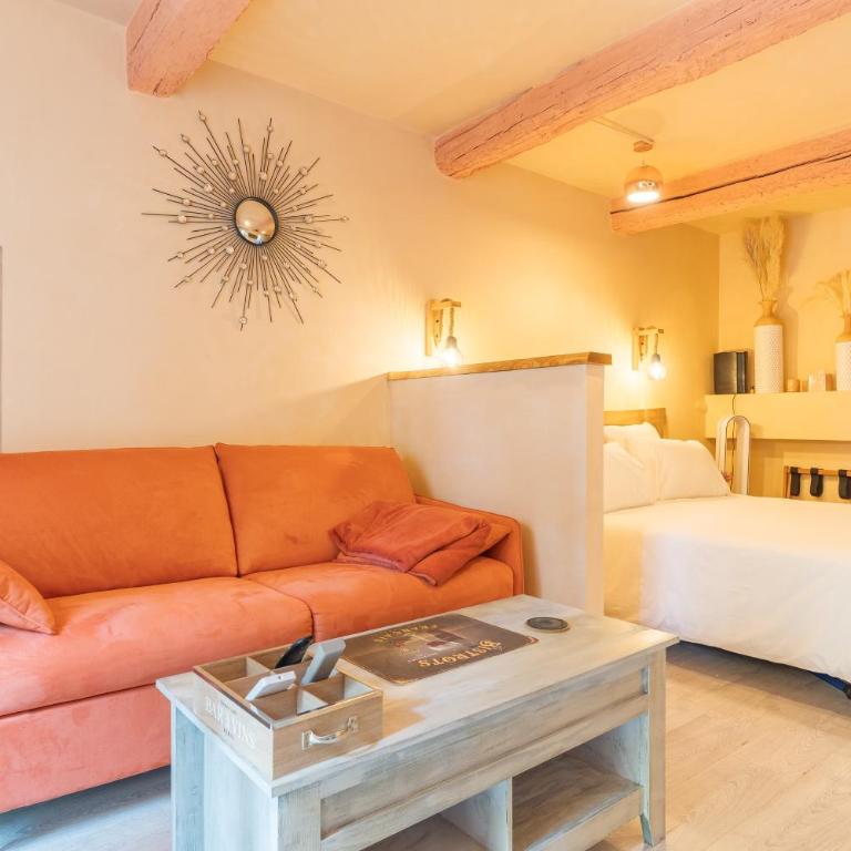 Sublime Appartement Centre D’aix - One-Bedroom Apartment with Garden View - 13