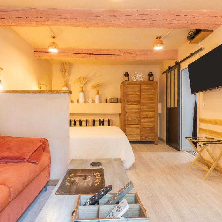 Sublime Appartement Centre D’aix - One-Bedroom Apartment with Garden View - 16