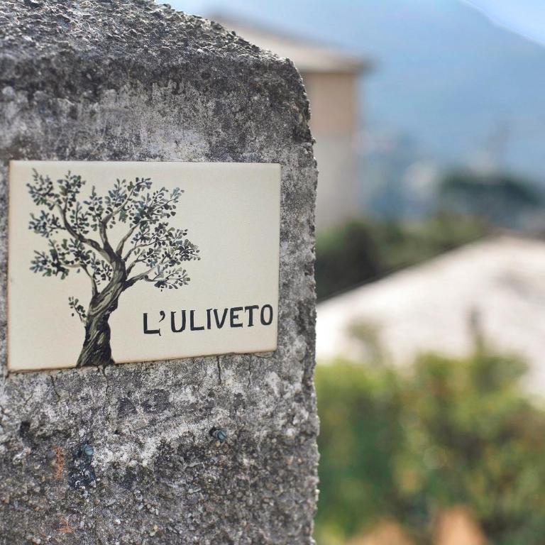 Uliveto - Villa con Vista Mare - 43