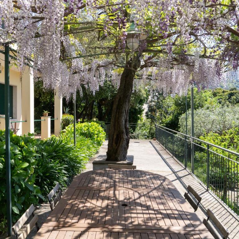 Uliveto - Villa con Vista Mare - 31
