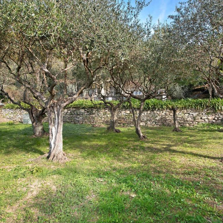 Uliveto - Villa con Vista Mare - 38