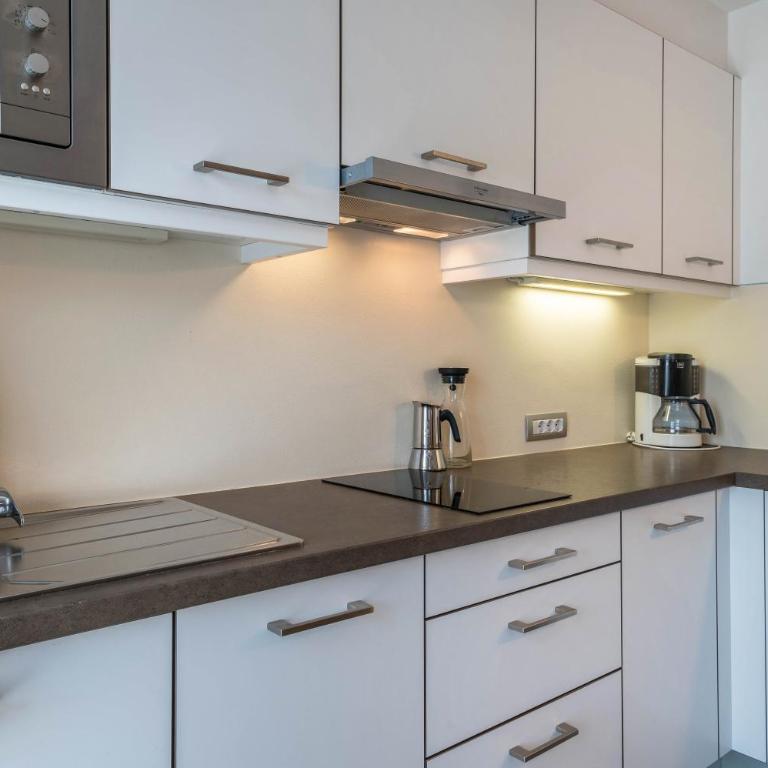 Montis Moarhof Natur Apartments - Superior One-Bedroom Apartment with Balcony - 7