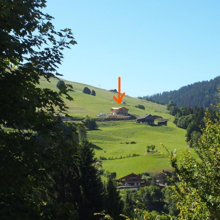 Chalet des joux - Appartamento Superior con Balcone - 9