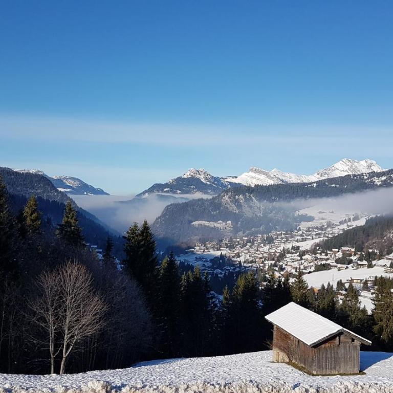 Chalet des joux - Appartamento Superior con Balcone - 25