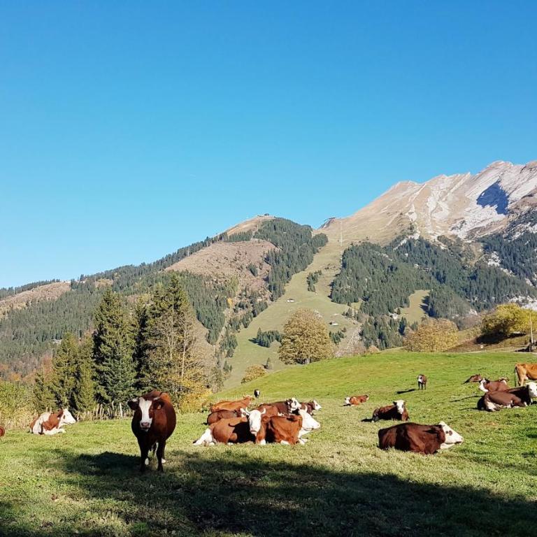 Chalet des joux - Appartamento Superior con Balcone - 23