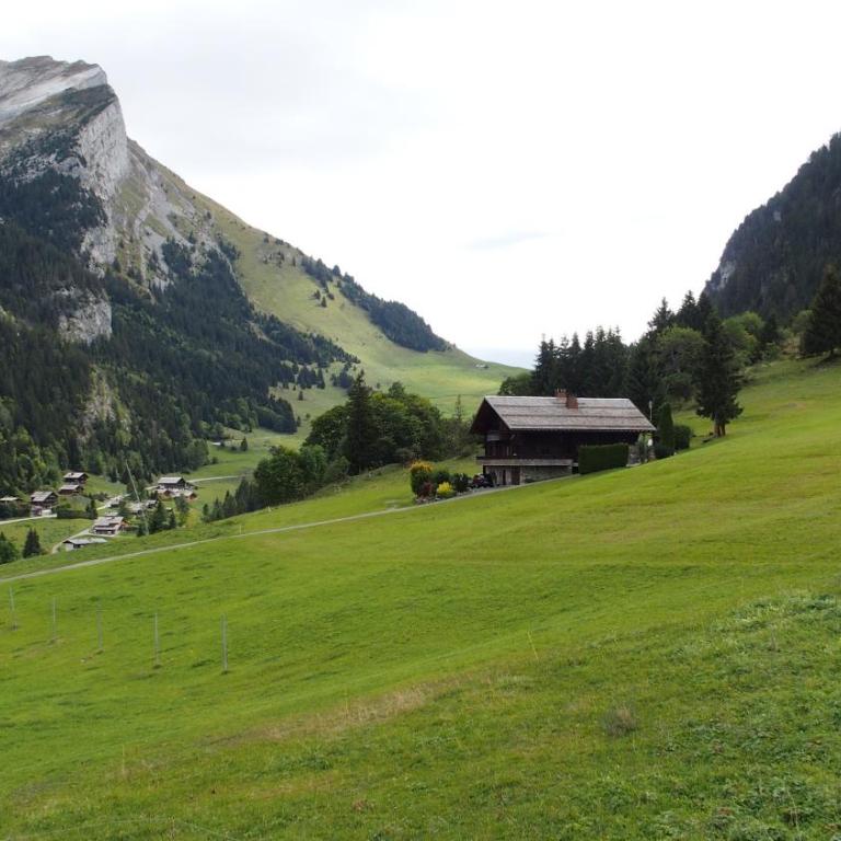 Chalet des joux - Appartamento Superior con Balcone - 29