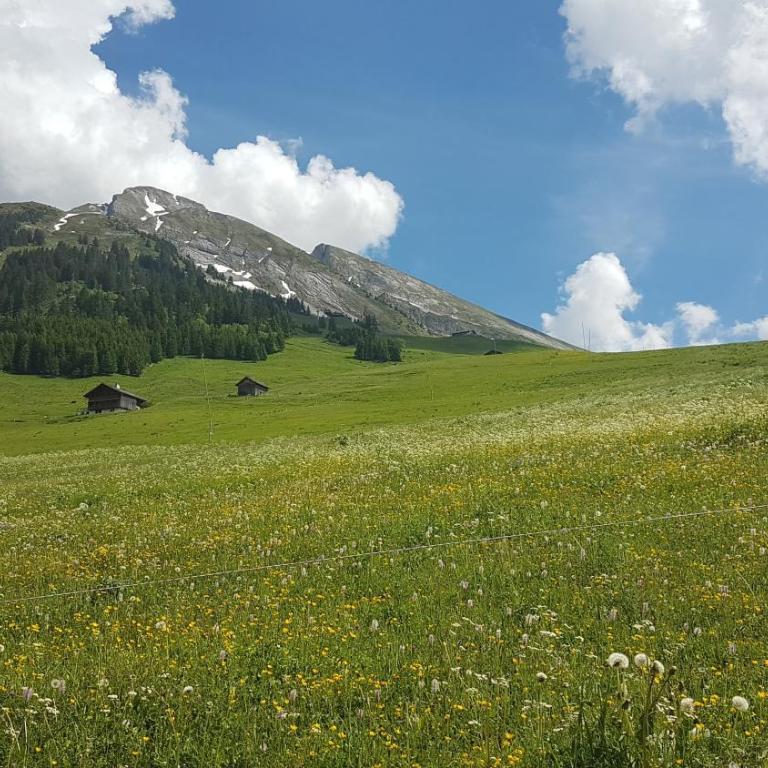 Chalet des joux - Appartamento Superior con Balcone - 28