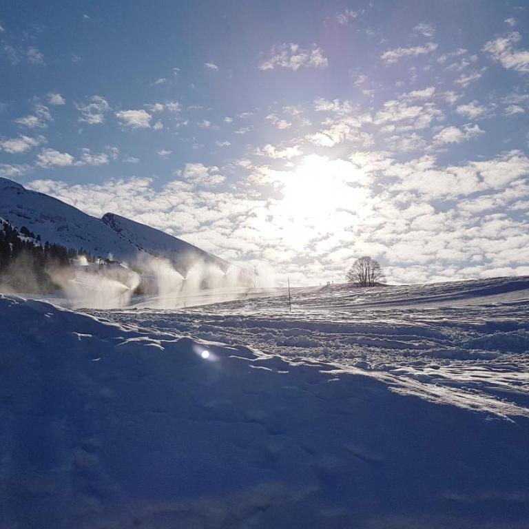 Chalet des joux - Appartamento Superior con Balcone - 24