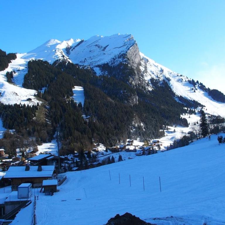 Chalet des joux - Appartamento Superior con Balcone - 22