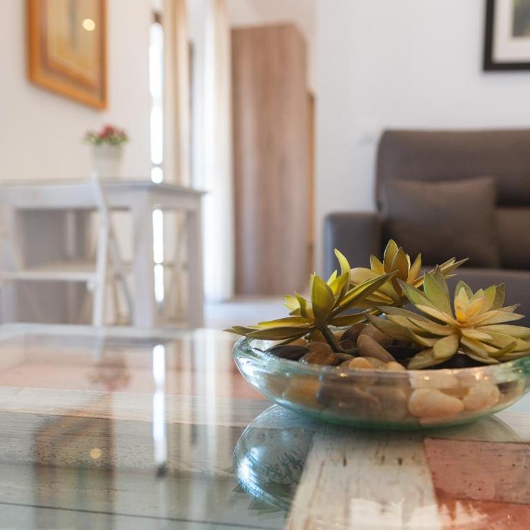 Apartamento Geranio - Apartamento Superior de 1 dormitorio con balcón - 7