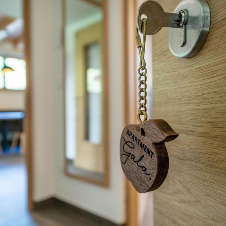 Wiesgut Ferienwohnung Gala - Appartamento Superior con 1 Camera da Letto e Balcone - 14