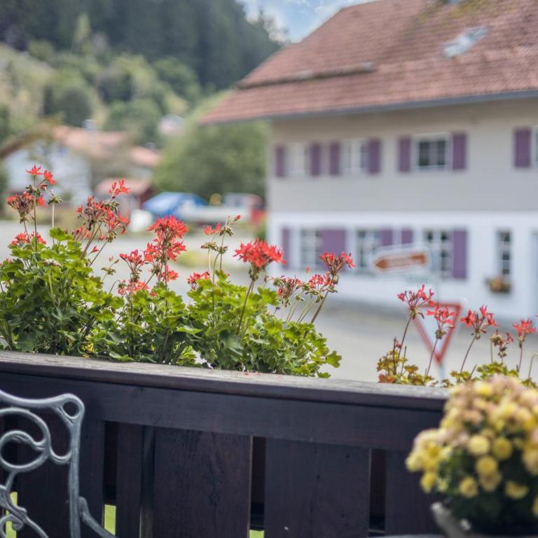 Ferienwohnung im Haus Kreuzthal - Superior Apartment mit 1 Schlafzimmer und Balkon - 15