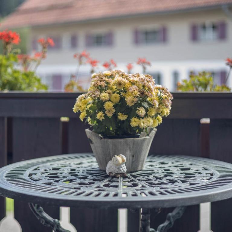 Ferienwohnung im Haus Kreuzthal - Superior Apartment mit 1 Schlafzimmer und Balkon - 7