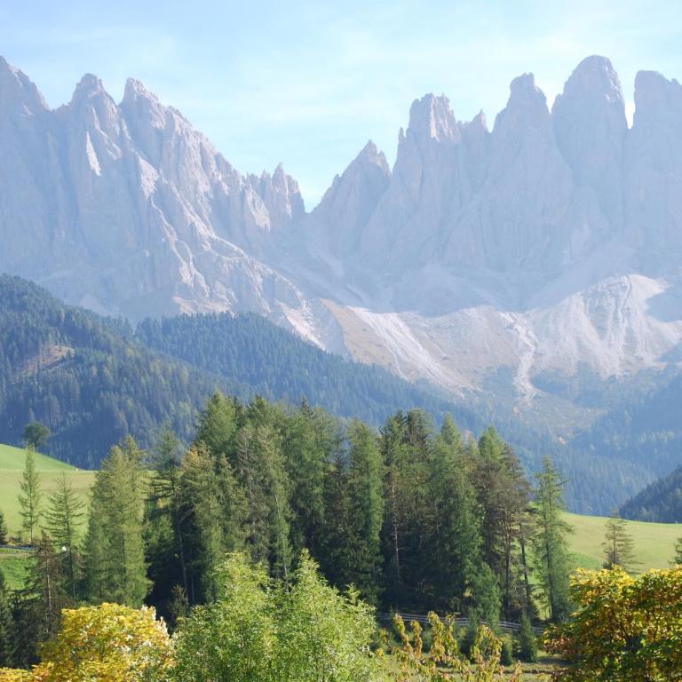 Bergblick App Fichte - Appartamento Deluxe con 2 Camere da Letto e Vista Giardino - 25