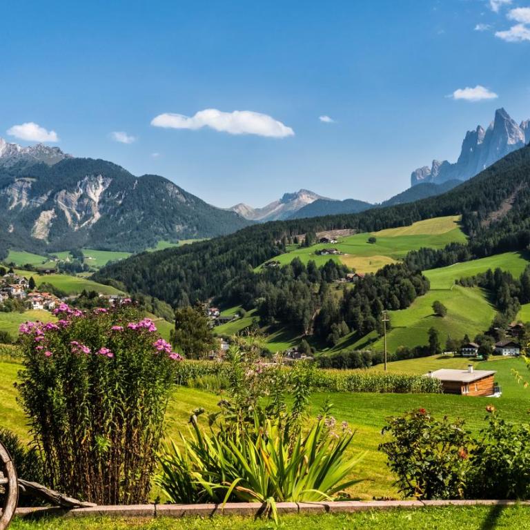 Bergblick App Fichte - Appartamento Deluxe con 2 Camere da Letto e Vista Giardino - 32