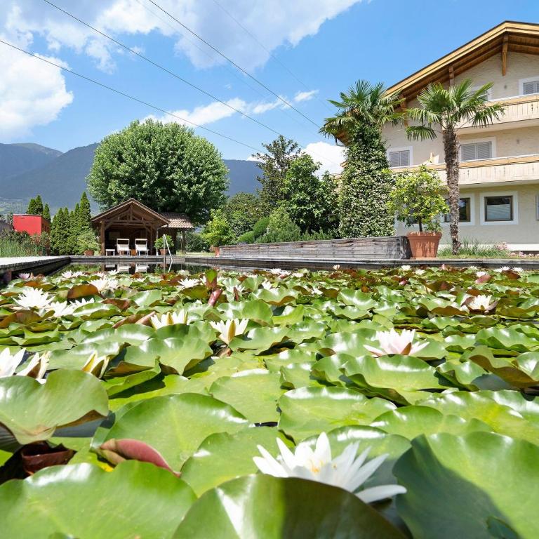 Weinsepphof Ferienwohnung 6 - Apartamento Deluxe de 2 dormitorios con balcón - 9