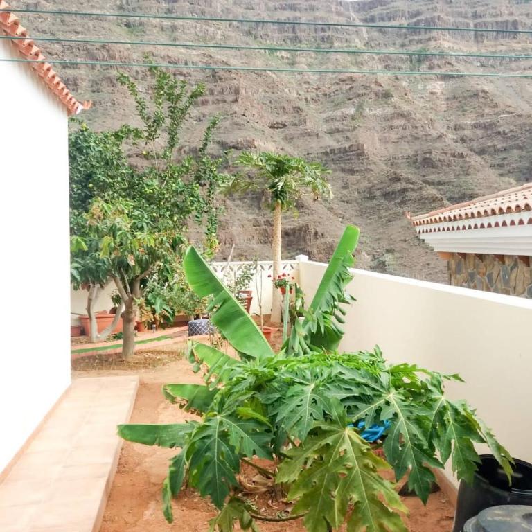 La Casita del Horno Vv - Casa de 3 dormitorios - 37