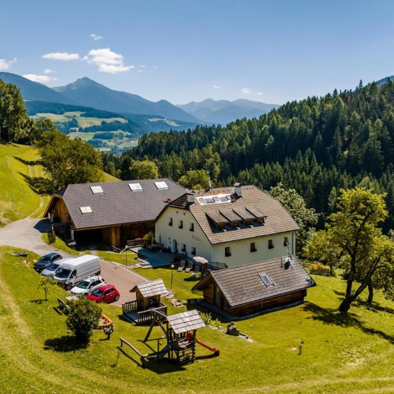 Apartments Perfila Dolomitenblick - Appartamento con 1 Camera da Letto e Vista Giardino - 9