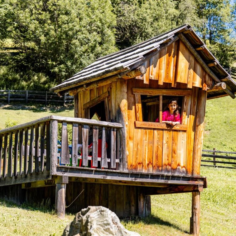 Apartments Perfila Dolomitenblick - Appartamento con 1 Camera da Letto e Vista Giardino - 8