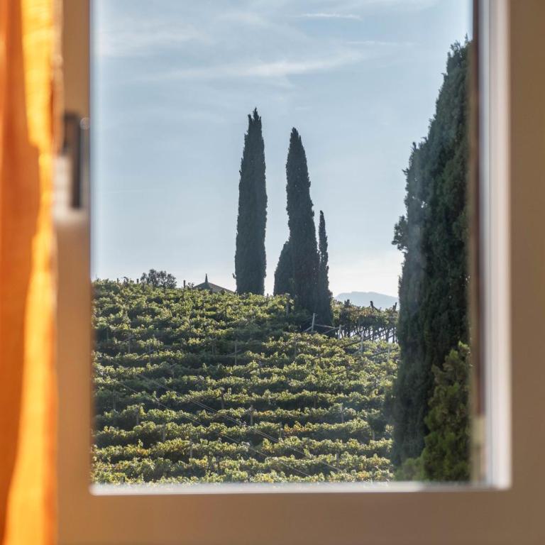 Ferienhaus Weingut Plonerhof - Casa con 2 Camere da Letto - 3