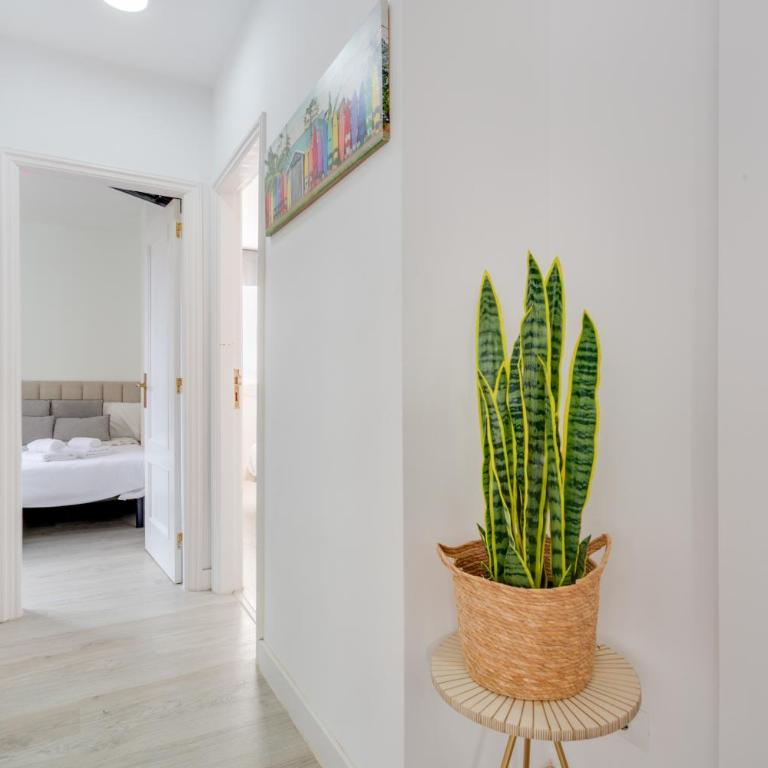 Apto Brisa Beach El Médano - Apartamento Superior de 1 dormitorio con balcón - 16